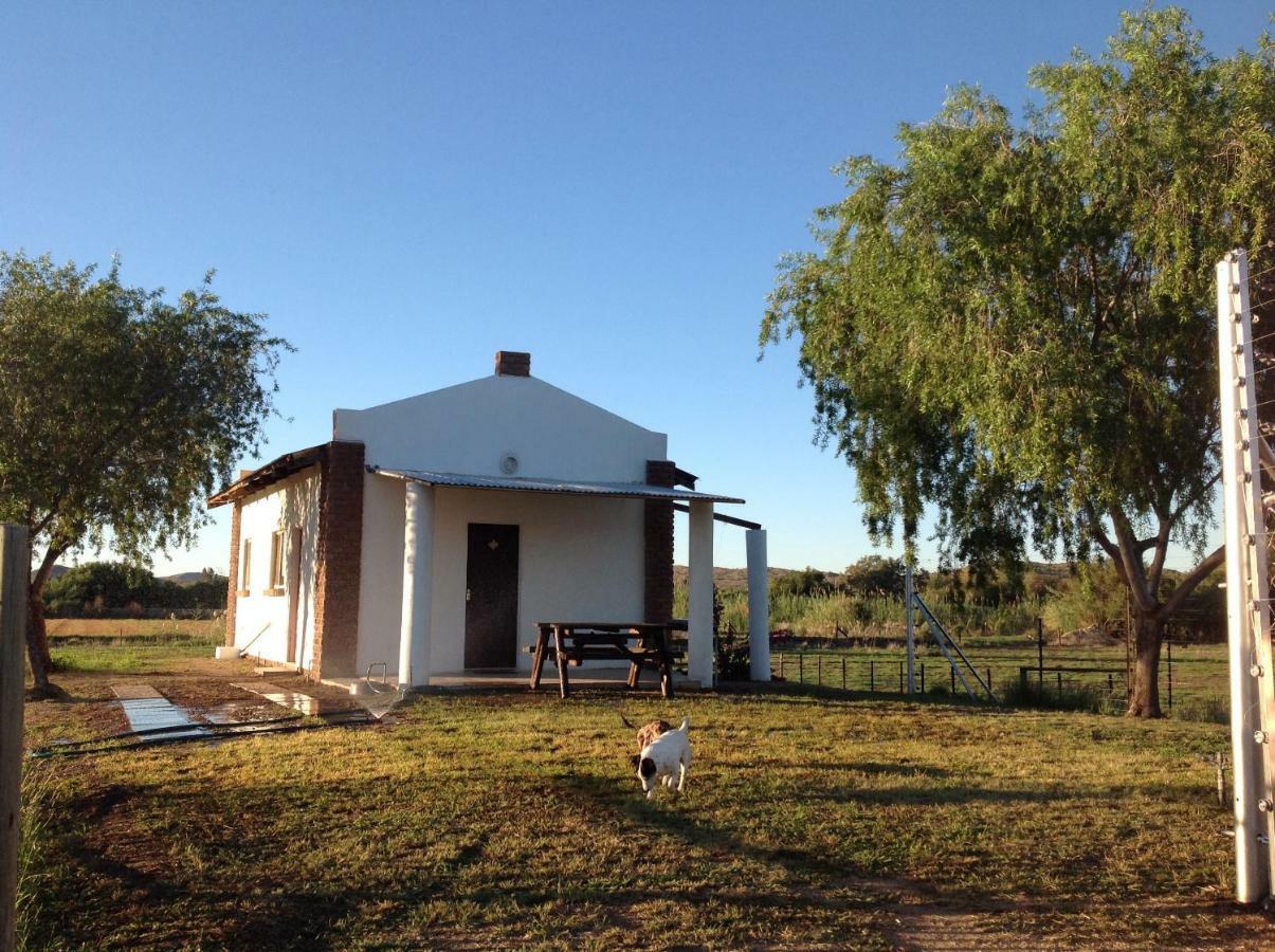 Ditsem Guest Farm Upington Extérieur photo